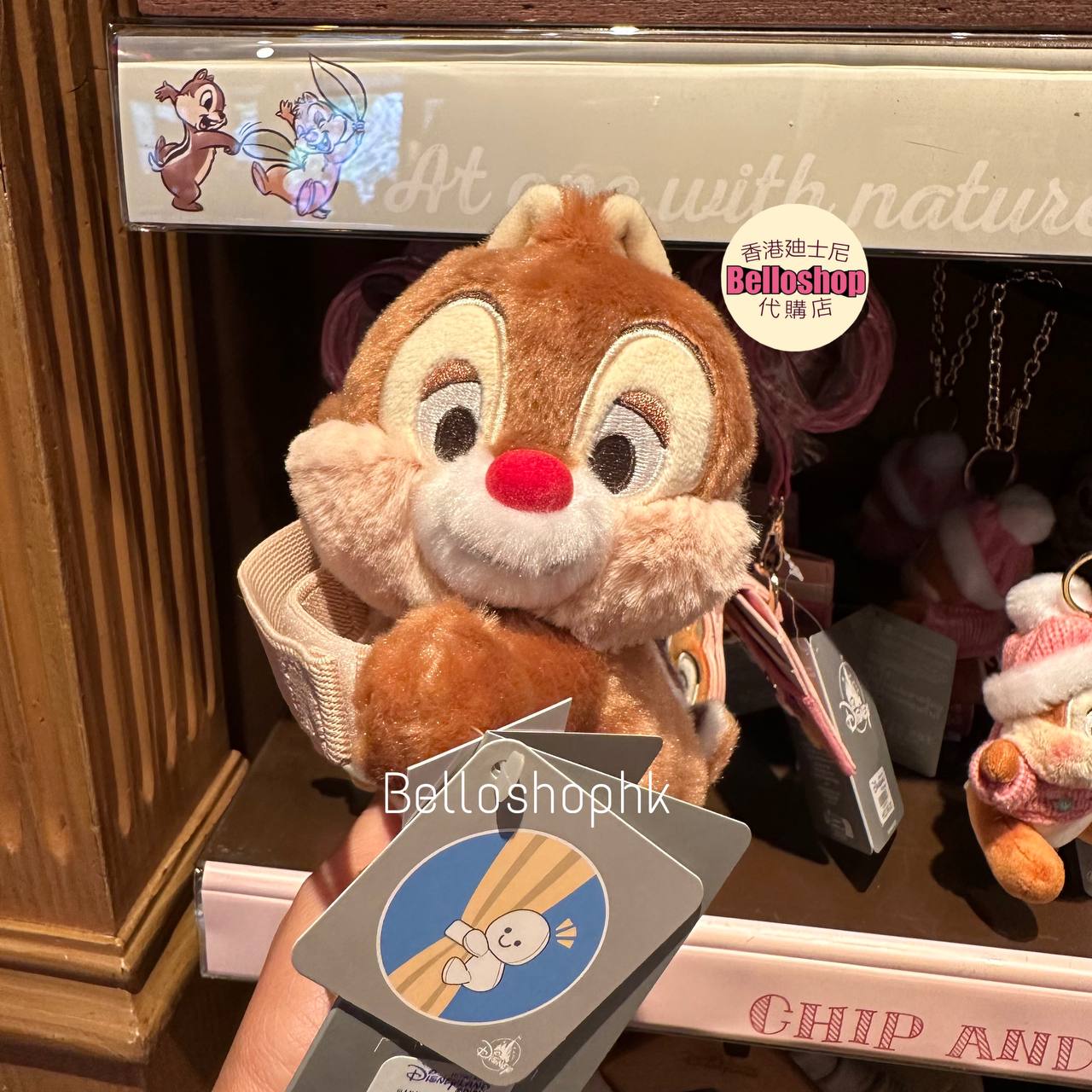 Hong Kong Disneyland | BELLOSHOPHK LIMITED