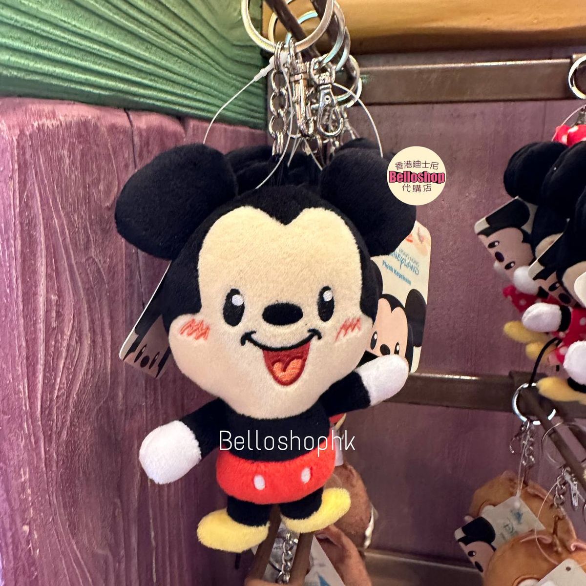Hong Kong Disneyland | BELLOSHOPHK LIMITED