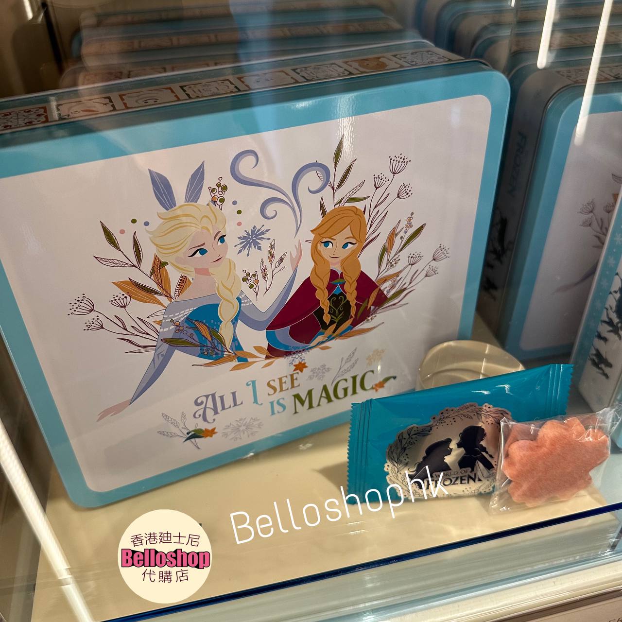 Hong Kong Disneyland | BELLOSHOPHK LIMITED