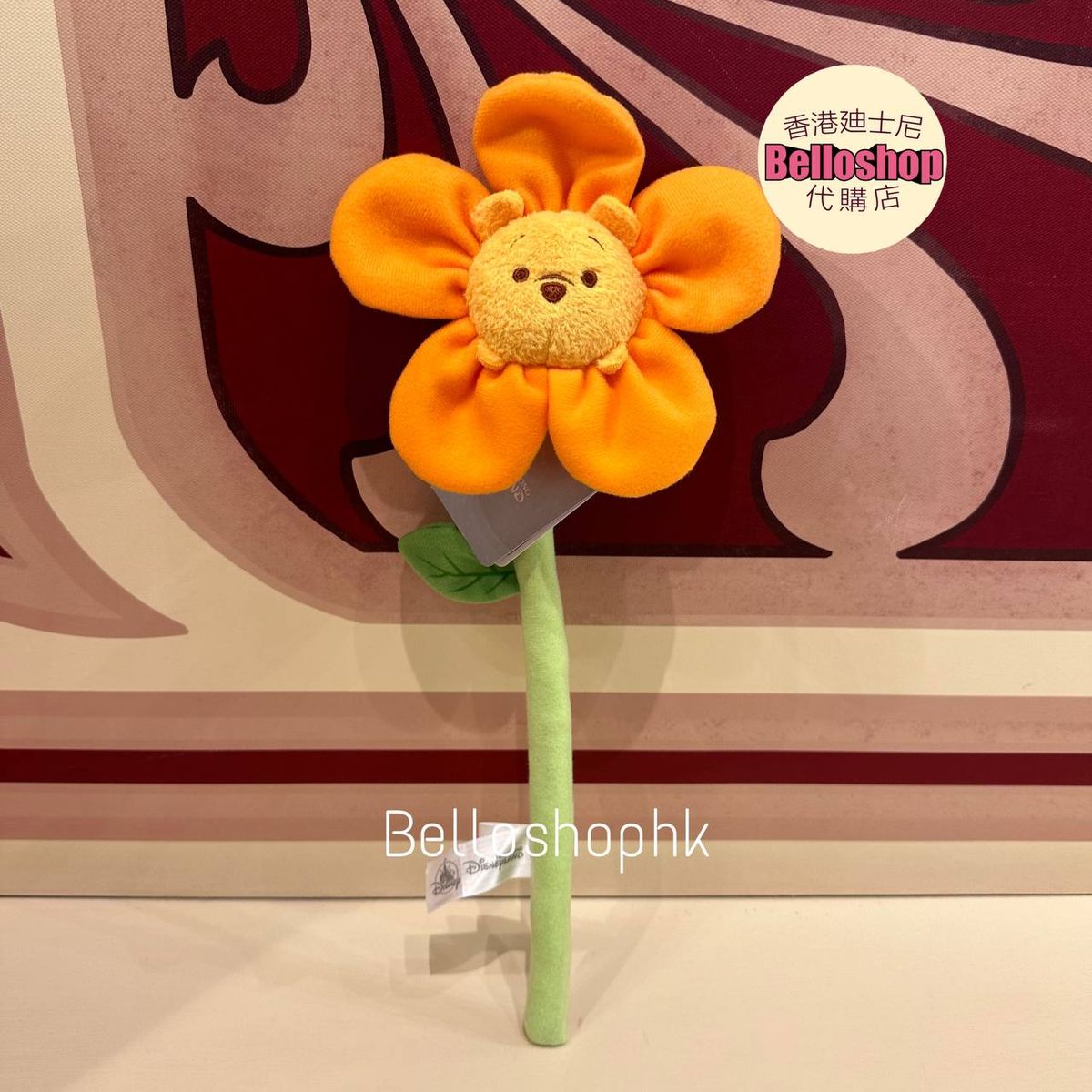 Hong Kong Disneyland | BELLOSHOPHK LIMITED