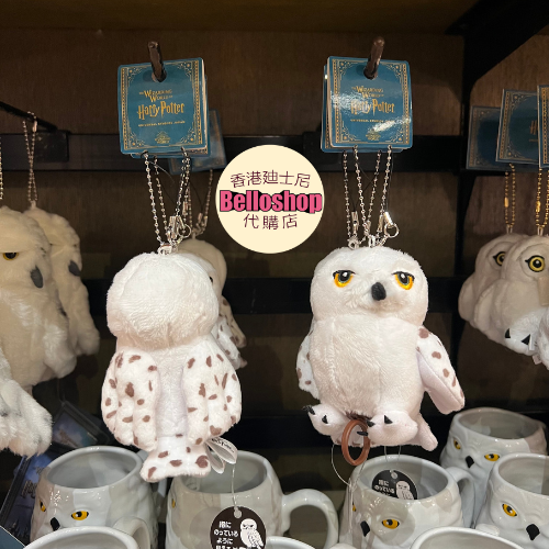 USJ - Hedwig Keychain 