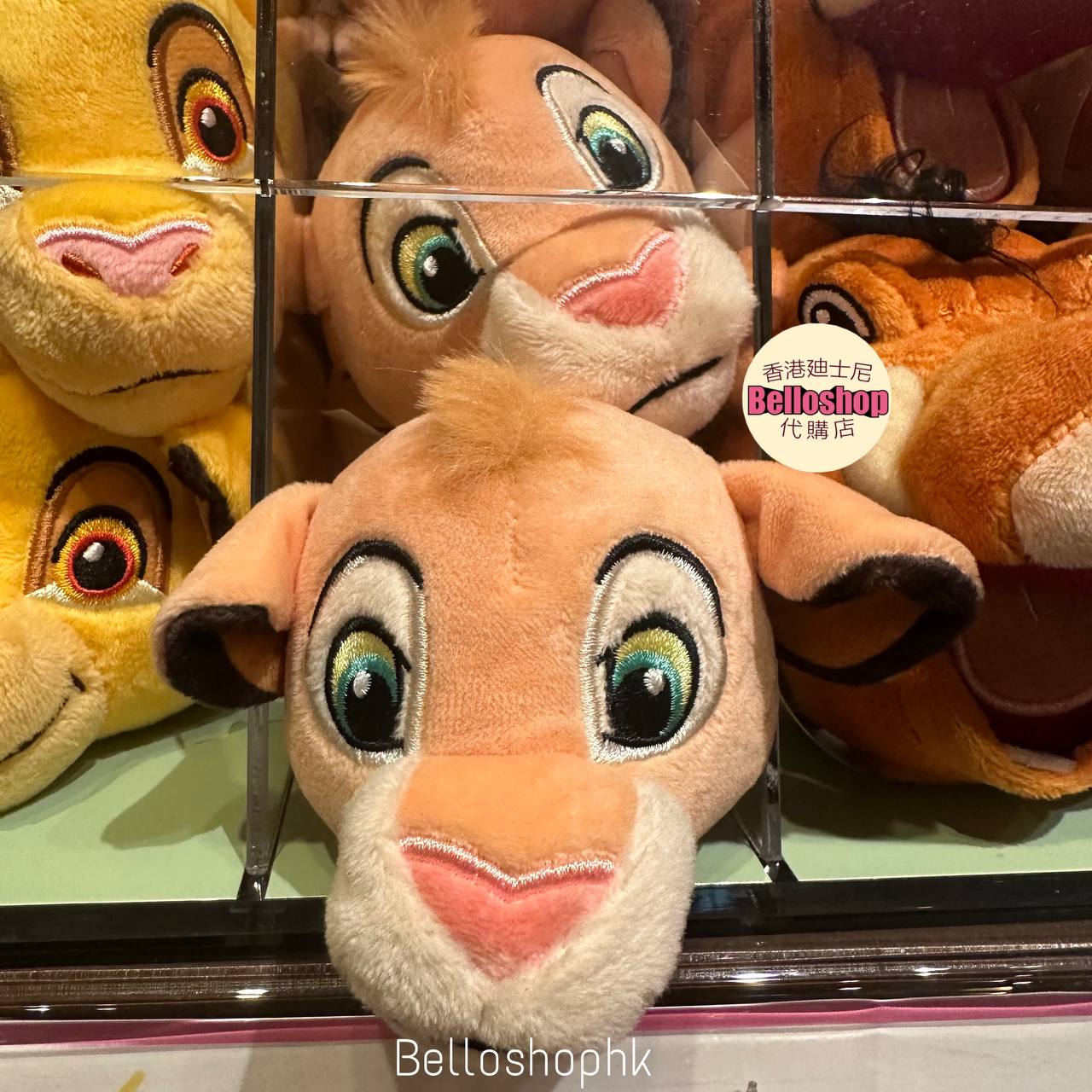 Hong Kong Disneyland | BELLOSHOPHK LIMITED