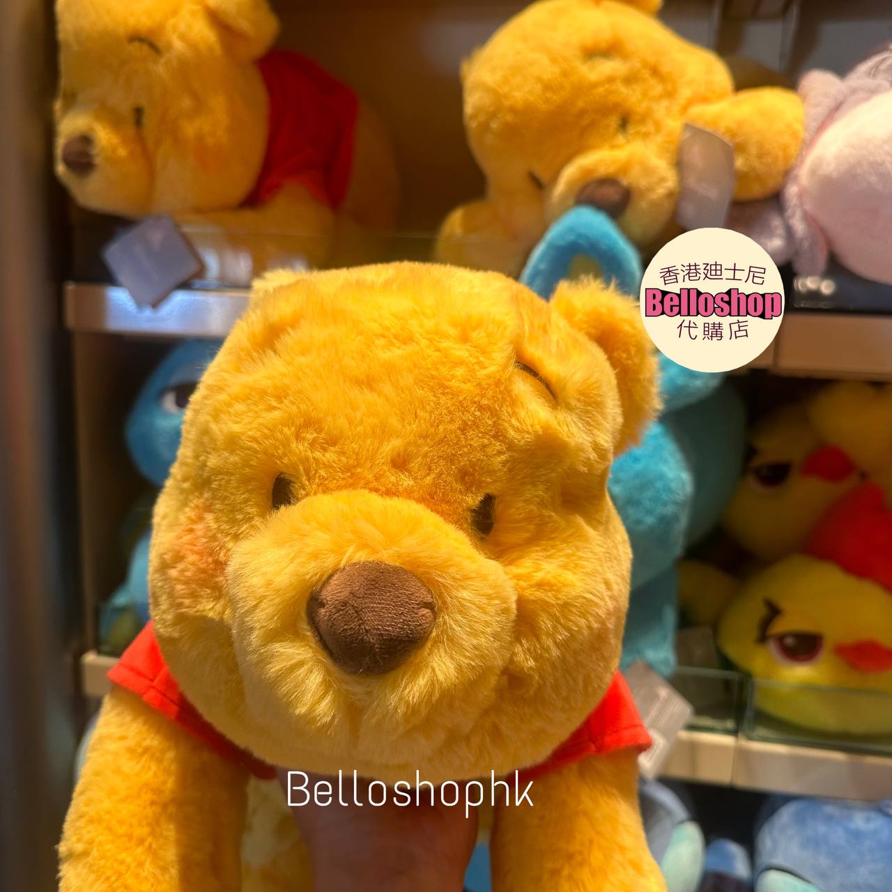 Hong Kong Disneyland | BELLOSHOPHK LIMITED