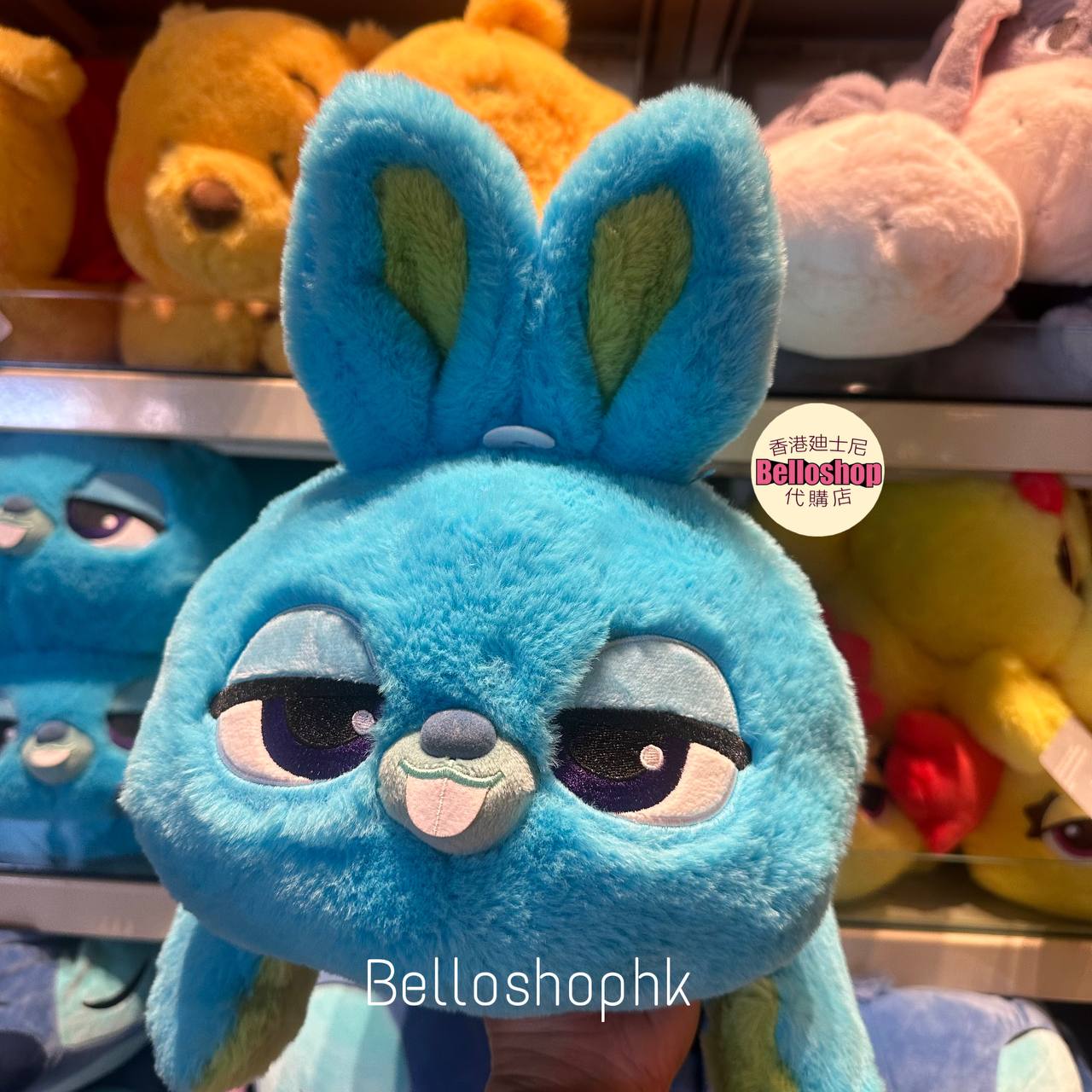 Hong Kong Disneyland | BELLOSHOPHK LIMITED