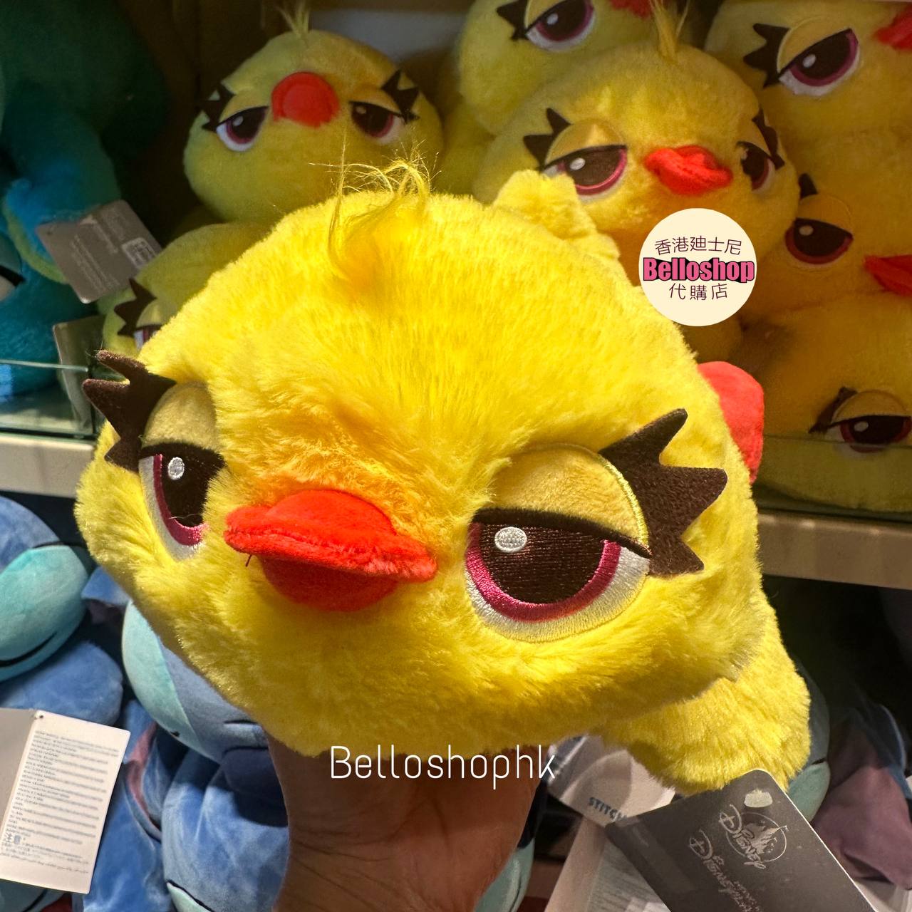 Hong Kong Disneyland | BELLOSHOPHK LIMITED