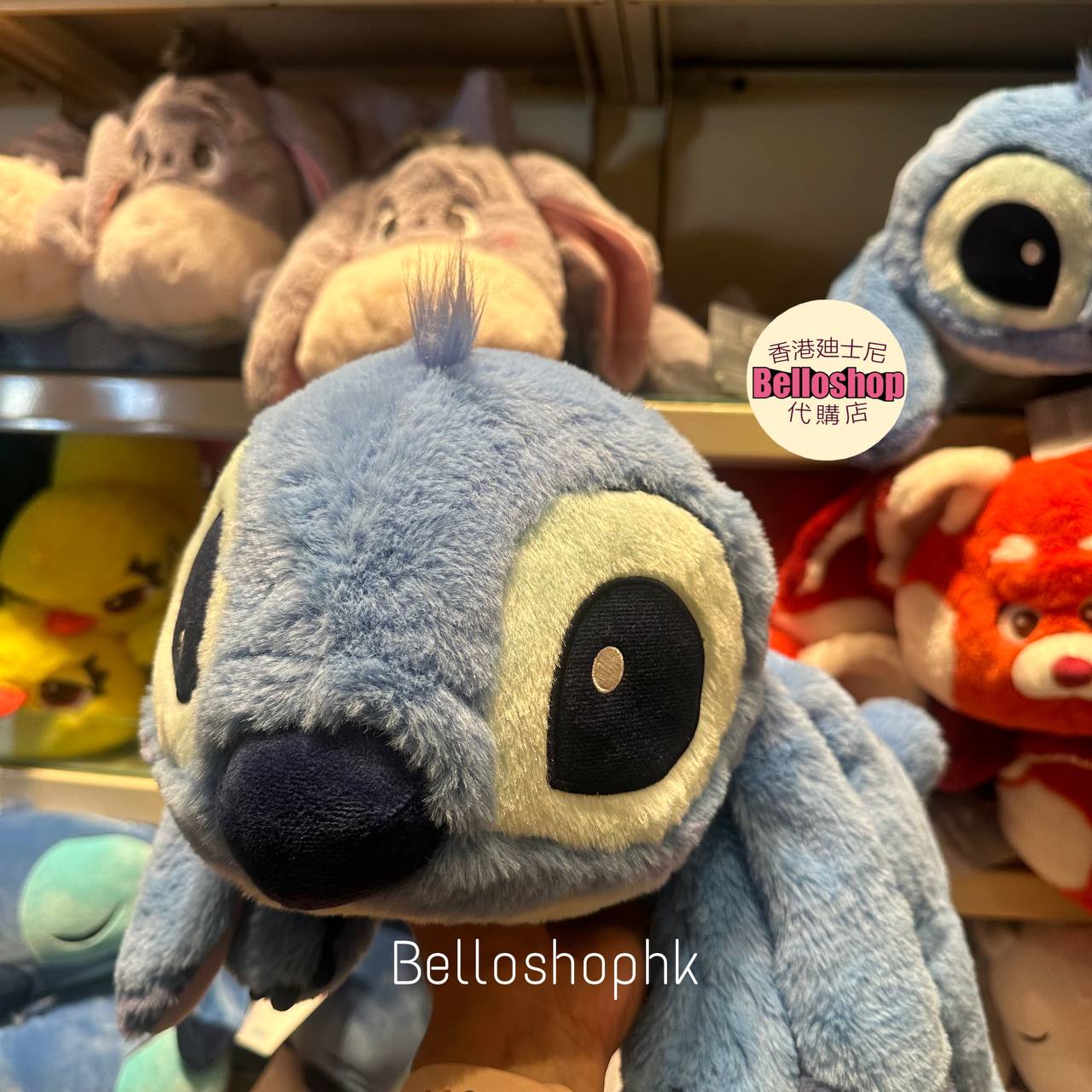 Cレア品☆ラグビー南アフリカ代表スプリングボックス ラグビー