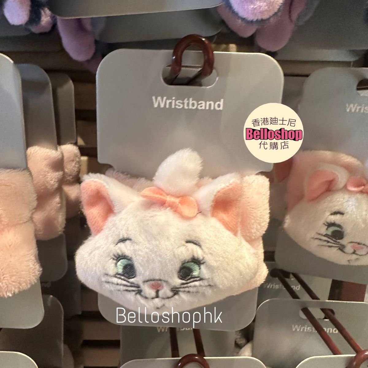 ラッセン ドリームタイム　ディズニーランド　額装品 photo_2025_03_08_22_40_36_5aY9