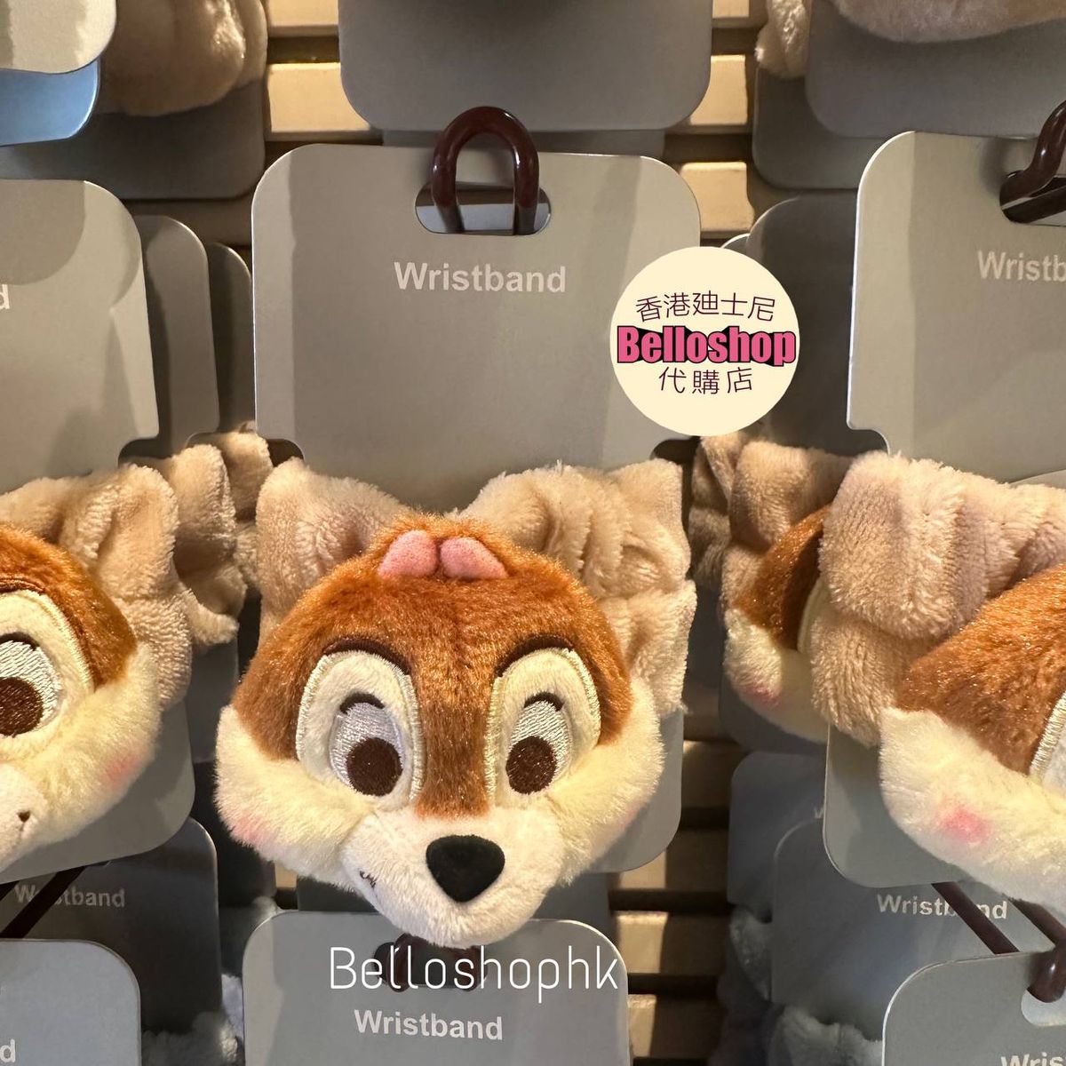 Hong Kong Disneyland | BELLOSHOPHK LIMITED
