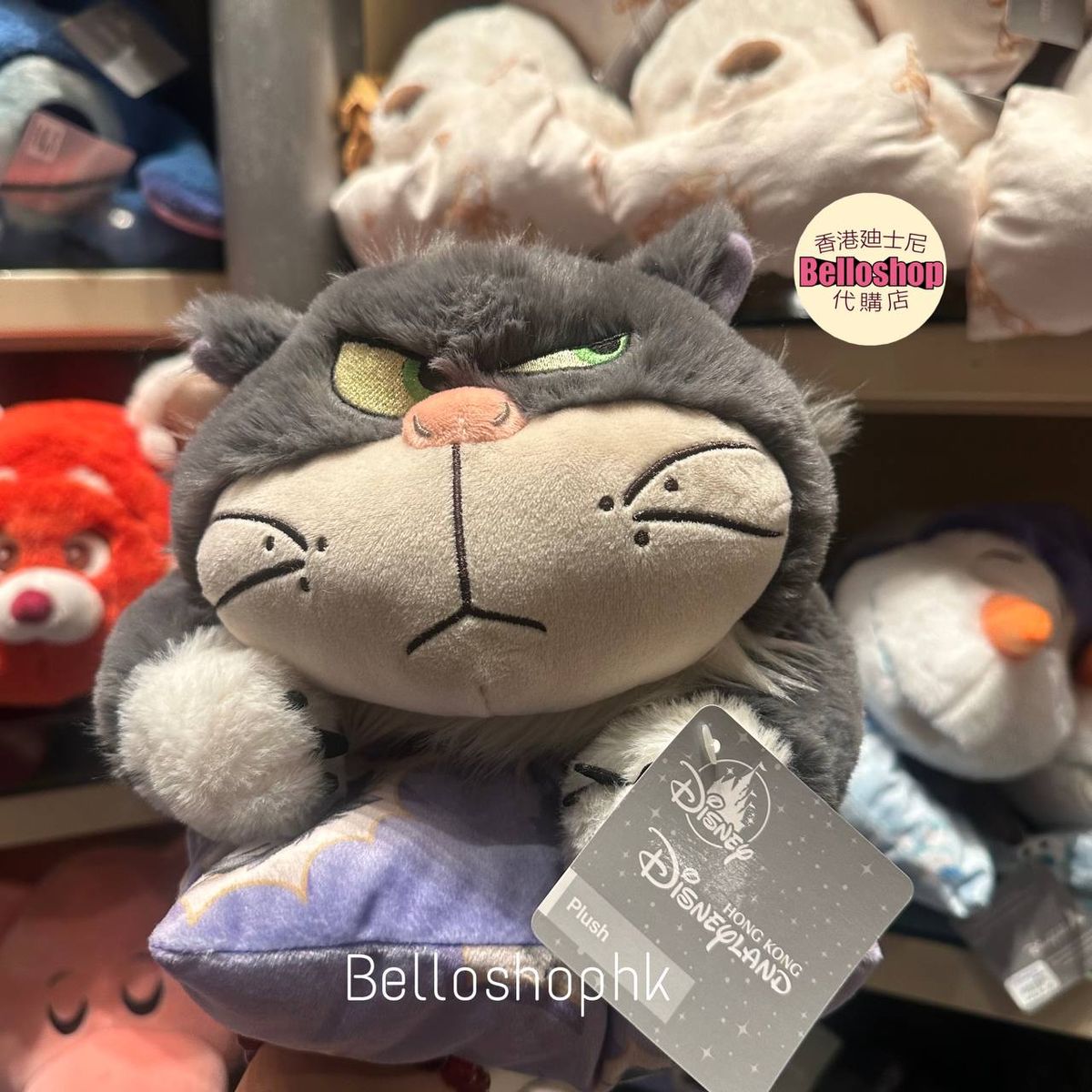 Hong Kong Disneyland | BELLOSHOPHK LIMITED