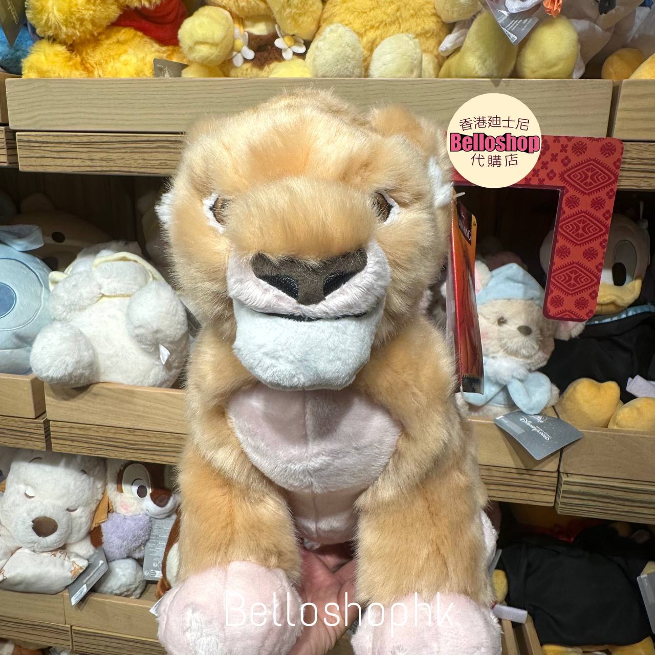 Hong Kong Disneyland | BELLOSHOPHK LIMITED