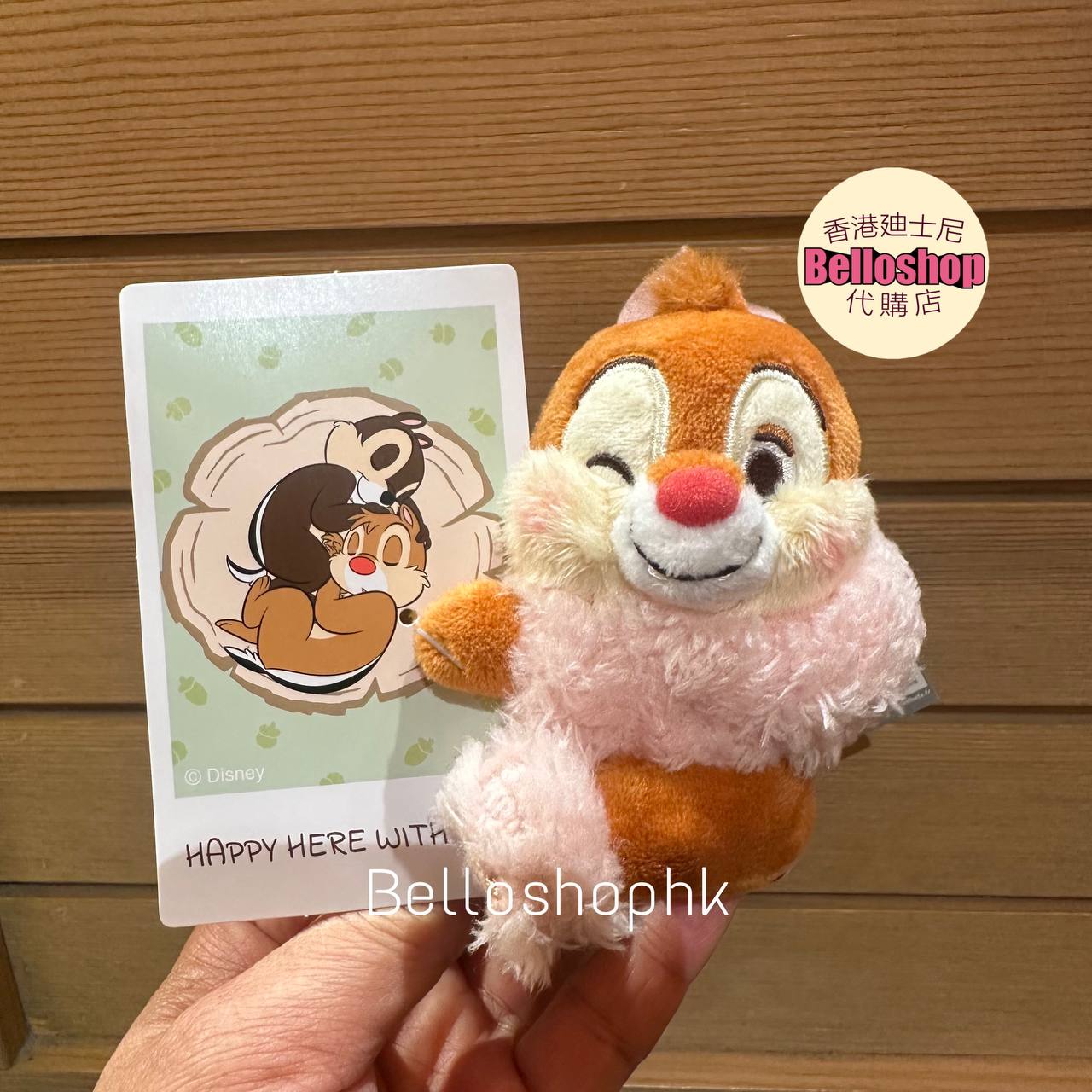 Hong Kong Disneyland | BELLOSHOPHK LIMITED