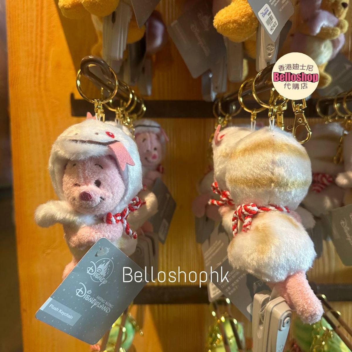 香港ディズニーランド✨レインコートシリーズ✨ジェラトーニ