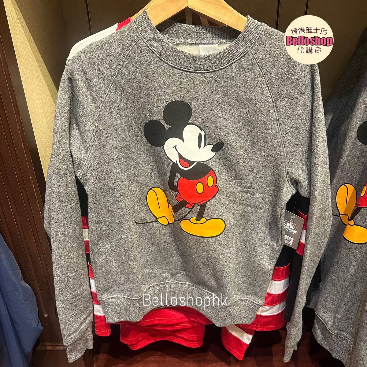 Hong Kong Disneyland | BELLOSHOPHK LIMITED