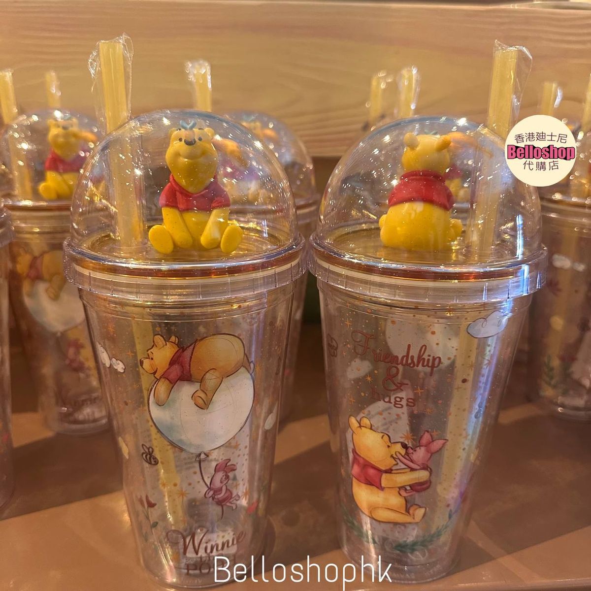 Hong Kong Disneyland | BELLOSHOPHK LIMITED