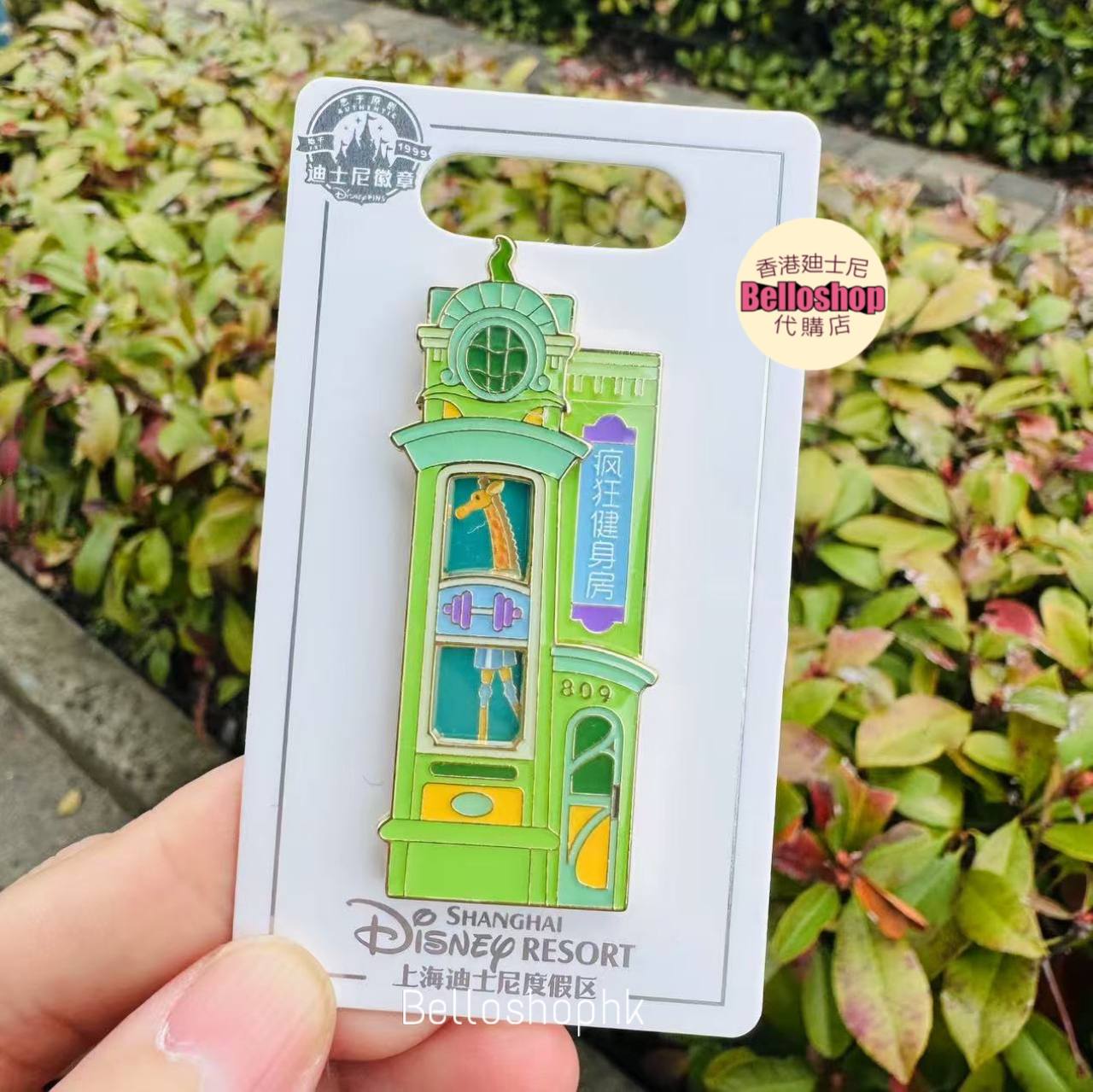 Princess Belle Beauty and the Beast Pin, A Magic Disney