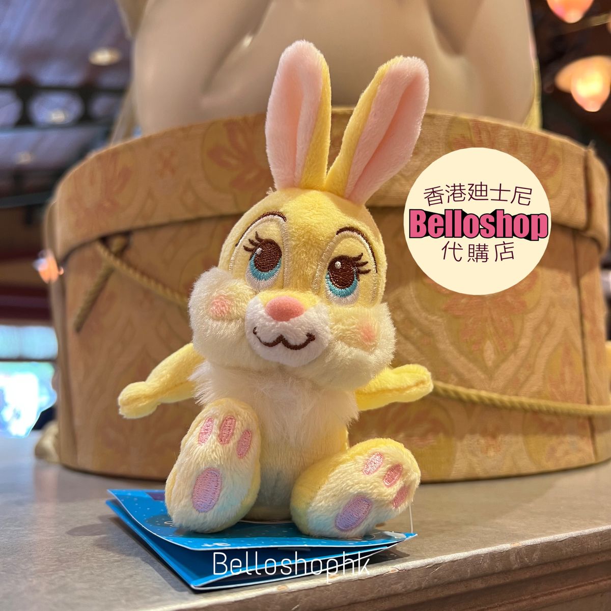 Hong Kong Disneyland | BELLOSHOPHK LIMITED