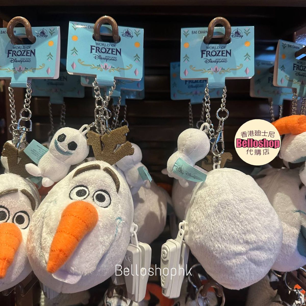 Hong Kong Disneyland | BELLOSHOPHK LIMITED