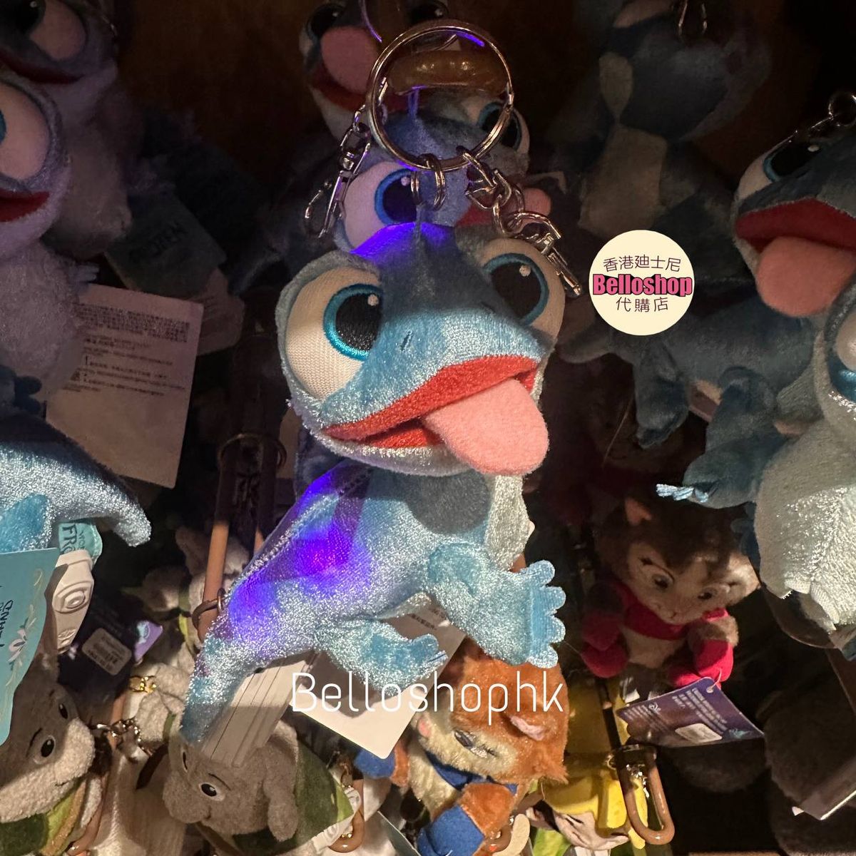 Hong Kong Disneyland | BELLOSHOPHK LIMITED