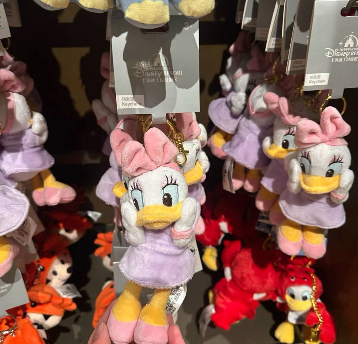 Shanghai Disney Resort | BELLOSHOPHK LIMITED