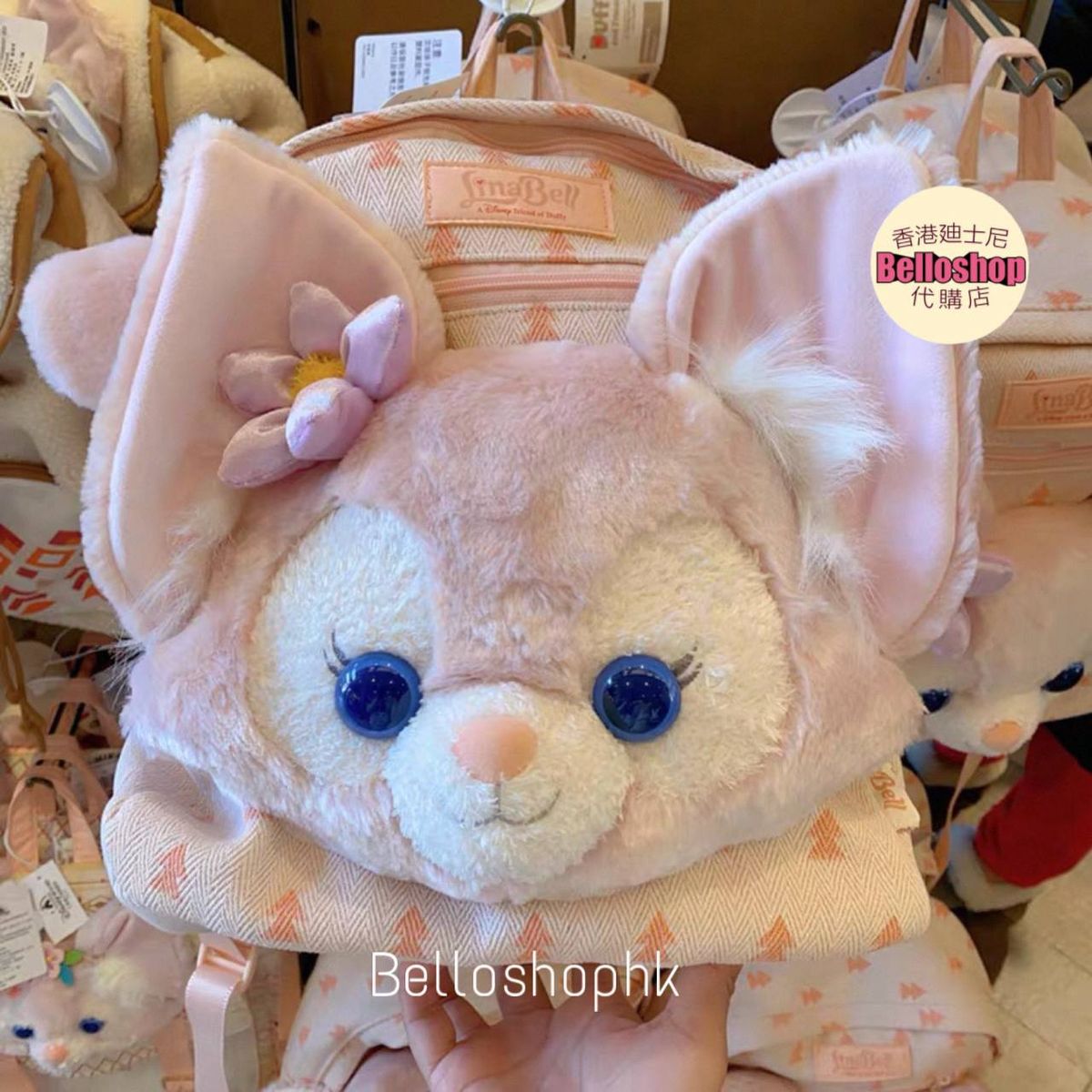 HKDL - Stitch “ Fruit Frenzy “ Mystery Plush Keychain