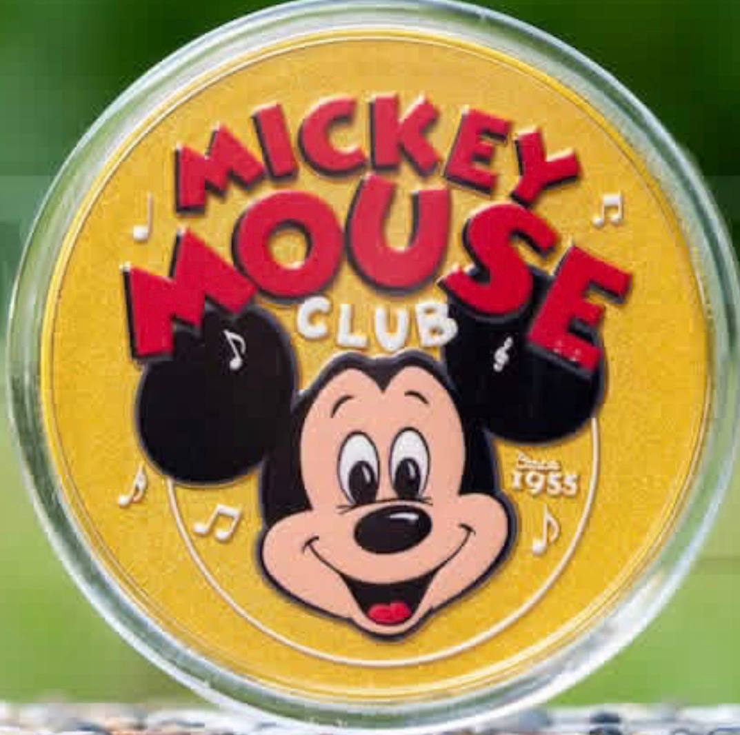 Pin / Badge / Magnet | BELLOSHOPHK LIMITED